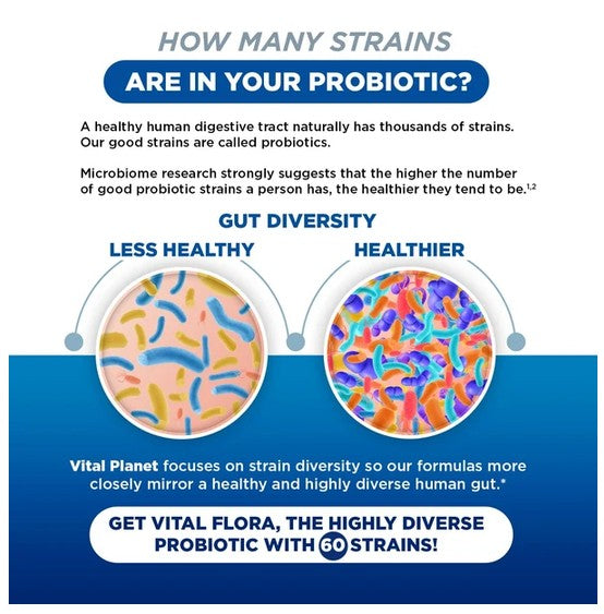 An informational infographic about probiotic strains, with text explaining gut diversity and two circular microbiome visualizations labeled 'Less Healthy' and 'Healthier.' It promotes Vital Flora as a highly diverse probiotic with 30 strains.