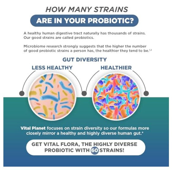 An informational infographic about probiotic strains, with text explaining gut diversity and two circular diagrams showing colorful microorganisms. The design uses white, dark blue, teal, and multicolored elements, with Vital Planet branding and a call to action for Vital Flora.