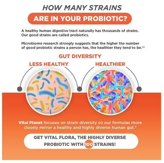An informational infographic about probiotic strains, with text explaining gut diversity and two circular illustrations showing colorful microorganisms inside. The design uses orange, white, and black, with the brand name Vital Planet mentioned in the text.