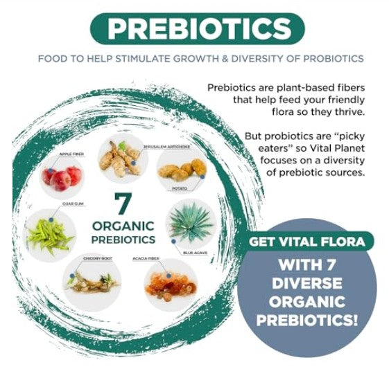 An informational graphic about prebiotics, with a teal header reading 'PREBIOTICS,' explanatory text, a circular arrangement of seven organic prebiotic foods, and a blue badge that says 'GET VITAL FLORA WITH 7 DIVERSE ORGANIC PREBIOTICS!'.