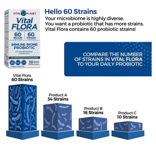 Vital Flora 60 Strains probiotic supplement packaging shown alongside explanatory marketing text and comparison graphics. The box is white and blue, and the image includes a blue banner reading 'Compare the number of strains in Vital Flora to your daily probiotic' and three blue bar charts labeled Vital Flora 60 Strains, Product A 34 Strains, Product B 16 Strains, and Product C 10 Strains.