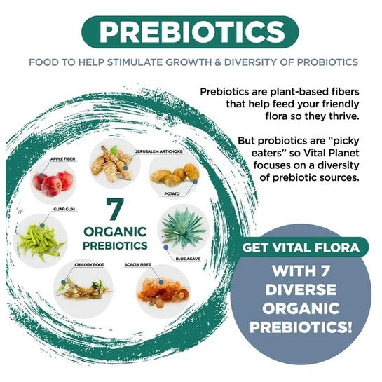 Vital Flora Mens Daily Prebiotics
