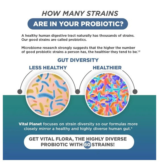 Vital Flora Mens Daily Probiotics Strains