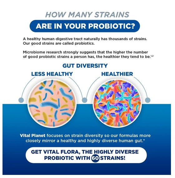 Vital Flora Women's Daily Probiotic - How Many Strains